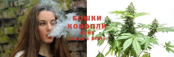 ГАЛЛЮЦИНОГЕННЫЕ ГРИБЫ Абдулино