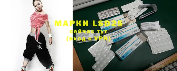 PSILOCYBIN Абаза