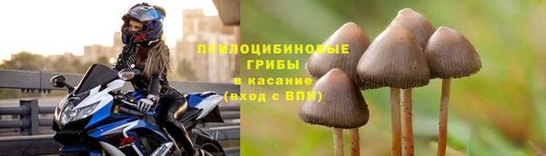 MESCALINE Абинск