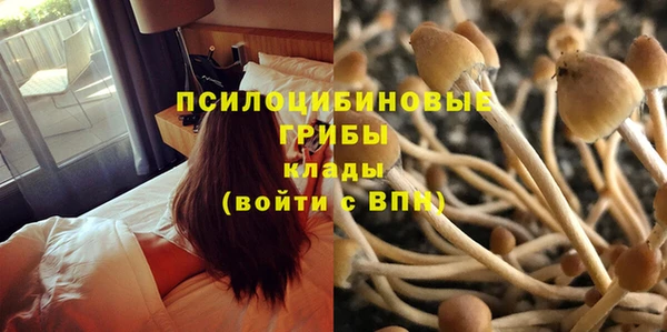 ГАЛЛЮЦИНОГЕННЫЕ ГРИБЫ Абдулино