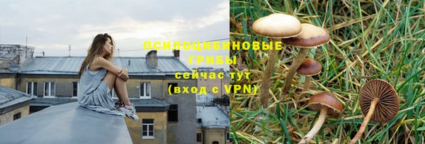 ГАЛЛЮЦИНОГЕННЫЕ ГРИБЫ Абдулино