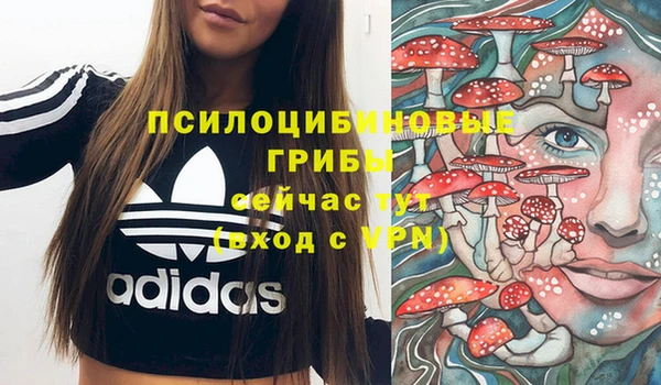 ГАЛЛЮЦИНОГЕННЫЕ ГРИБЫ Абдулино