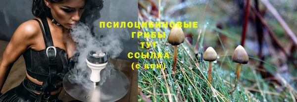 PSILOCYBIN Абаза