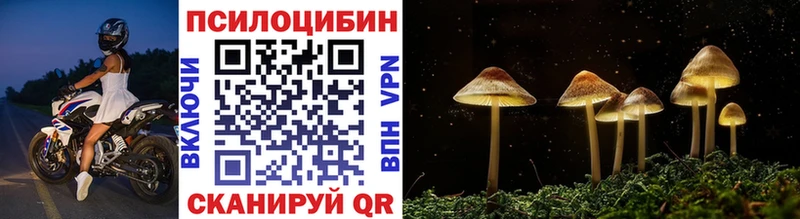 дарк нет как зайти  Рыльск  Псилоцибиновые грибы Psilocybine cubensis  магазин  наркотиков  omg сайт 